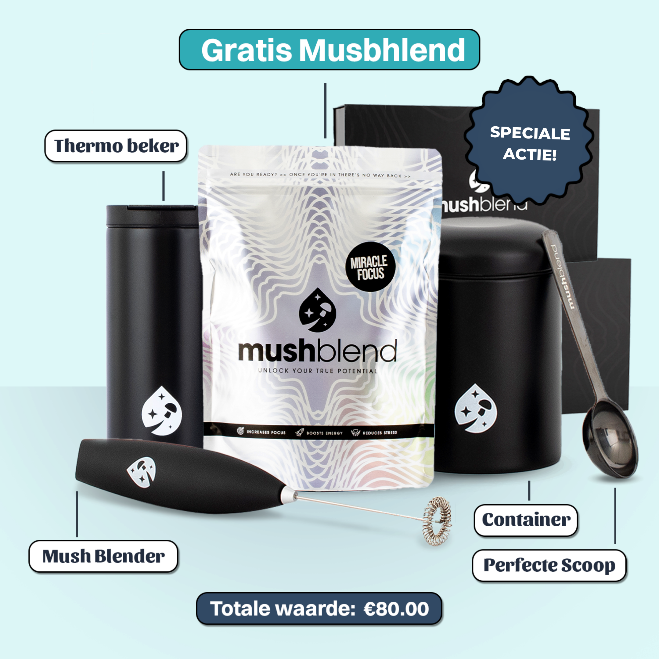 Mushblend Goodies